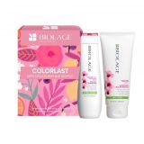 Набор для ухода за волосами «Colorlast»
