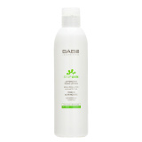 BABE Laboratorios Stop AKN Astringent Tonic Lotion (250мл)
