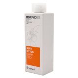 Framesi Morphosis Purifying Shampoo (250мл)