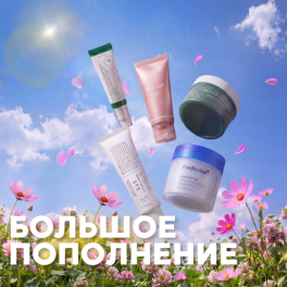 Большое пополнение