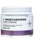 Lebelage Dr. Madecassoside Cure Cream (70мл)