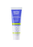 Waterdent Aesthtic Toothpaste (100мл)