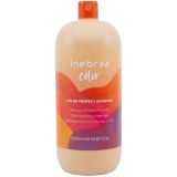 Inebrya Color Perfect Shampoo (1000мл)
